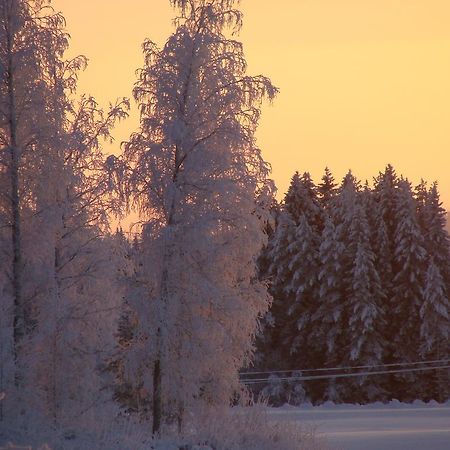 Villa Tiirinkallio Nilsiä Стая снимка
