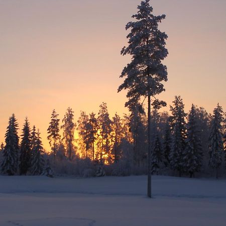 Villa Tiirinkallio Nilsiä Стая снимка