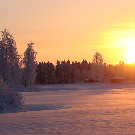 Villa Tiirinkallio Nilsiä Екстериор снимка