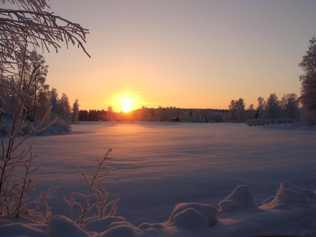 Villa Tiirinkallio Nilsiä Стая снимка