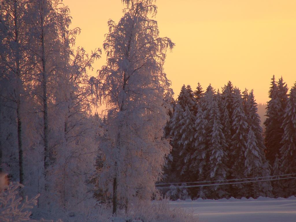 Villa Tiirinkallio Nilsiä Стая снимка