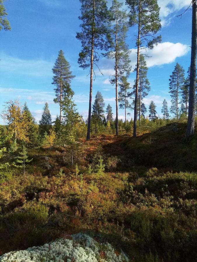 Villa Tiirinkallio Nilsiä Екстериор снимка