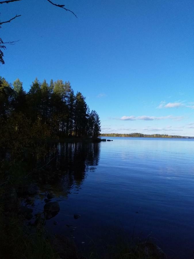Villa Tiirinkallio Nilsiä Екстериор снимка