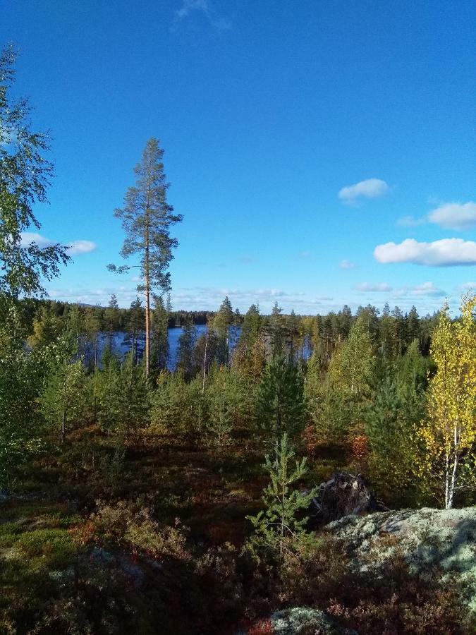 Villa Tiirinkallio Nilsiä Екстериор снимка