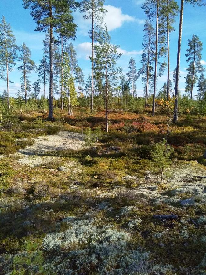 Villa Tiirinkallio Nilsiä Екстериор снимка