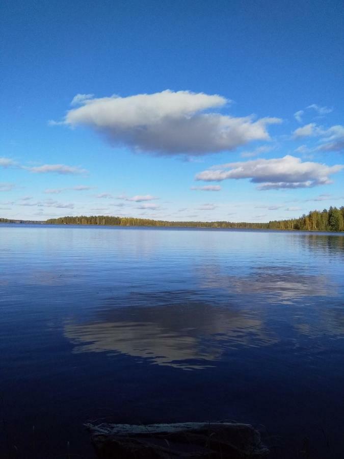 Villa Tiirinkallio Nilsiä Екстериор снимка
